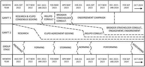 Collaborative Processes in the Development of the International Competences for Undergraduate Psychology (ICUP) Model