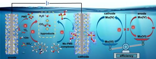 Sustainable peroxymonosulfate activation by 1T/2H-MoS2 cathode for enhanced removal of organic pollutants: Performance and nonradical activation mechanism based on surface Mo-peroxymonosulfate complexes