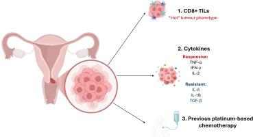 Advancing personalized medicine in LMICs: Predictive indicators for cervical cancer immunotherapy response