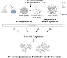Mapping the essential steps of milk protein rehydration: the importance of particle size and mineral release on acid-induced gelation