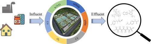 Suspect and non-target screening for emerging contaminants of potential concern and risk assessment in wastewater treatment plants: A case study of a typical industrial city in China