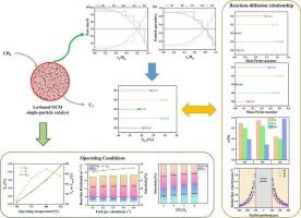 Radially graded porosity in La-based OCM catalysts: a CFD-driven framework for optimizing reaction-diffusion dynamics at the single-particle scale