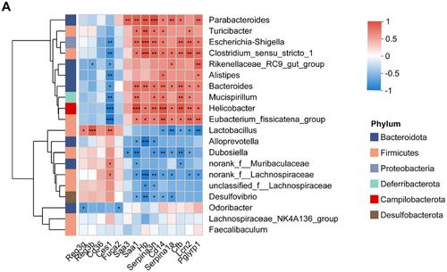 2′-Fucosyllactose Modulates the Intestinal Immune Response to Gut Microbiota and Buffers Experimental Colitis in Mice: An Integrating Investigation of Colonic Proteomics and Gut Microbiota Analysis