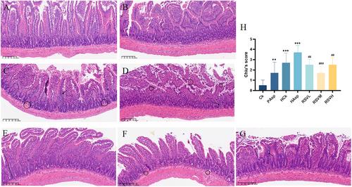 Correction to “Effects of Resveratrol on Intestinal Flora and Metabolism in Rats With Non-Steroidal Anti-Inflammatory Drug-Induced Intestinal Injury Under Plateau Hypoxia Environment”