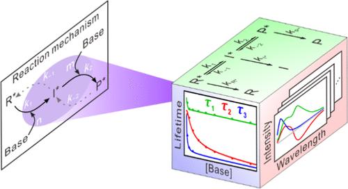 Global Lifetime Analysis on Excited Three-State Reactions