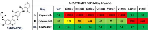 Discovery of KIN-8741, a Highly Selective Type IIb c-Met Kinase Inhibitor with Broad Mutation Coverage and Quality Drug-Like Properties for the Treatment of Cancer