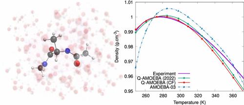 The Q-AMOEBA (CF) Polarizable Potential