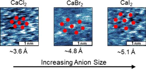 Anion Size Controls Cation Wigner Crystal-Like Structures at Silica Interfaces