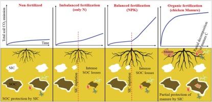 Balanced fertilization management to protect soil inorganic carbon stocks and reduce soil CO2 emissions