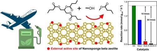 Zeolite beta nanosponge with high acidity on mesopores for efficient tributyrin transesterification