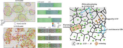 Enhanced hydrogen embrittlement resistance of FeCoNiCrMn multi-principal element alloys via local chemical ordering and grain boundary segregation
