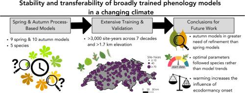 Stability and transferability of broadly trained phenology models in a changing climate