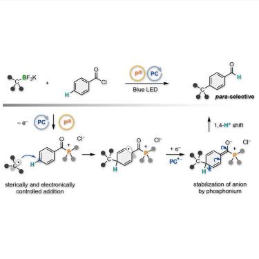 para-Selective C–H alkylation of aroyl chlorides through organic photoredox-catalyzed radical tele-substitution