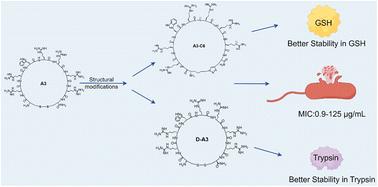 Rational design and synthesis of potent active antimicrobial peptides based on American oyster defensin analogue A3†