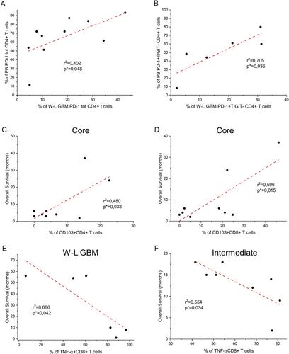 5-ALA Assisted Surgery of Human Glioblastoma Samples Reveals an Enrichment of T Cells Expressing PD-1 and CD103 in the Intermediate and Marginal Layers