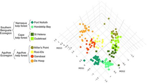 Of Biogeography, Fishes and Kelp: Environmental DNA Metabarcoding the Great African Seaforest