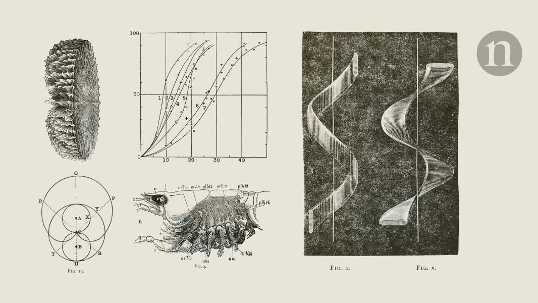 Mathematics in ancient Egypt