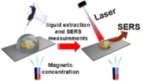 Multibranched Magnetic Core–Shell Gold Nanostars for In Situ Solution-Based SERS Detection