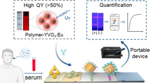 An Ultrabright Lanthanide-Doped Luminescent Nanotag for a Smartphone-Based Visual and Portable Lateral Flow Immunoassay of Procalcitonin and Rapid Diagnosis of Bacterial Infection