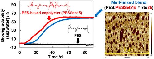 Imparting Marine Biodegradability to Poly(Ethylene Succinate) (PES) by Blending with a PES-Based Copolymer