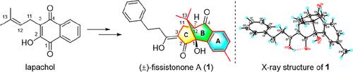 Fissistonones A and B: Two Phenylpropanoyl Prenylated Naphthoquinones with Rearranged Carbon Skeletons from Fissistigma oldhamii