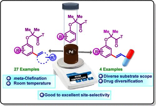 The meta-Selective C–H Functionalization of Phenol Derivatives Using a Nitrile-Based Directing Group