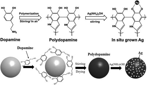 Piezoelectric Properties of Woven Bone Scaffolds Modified with Barium Titanate Nanoparticles and Ag+ Ions