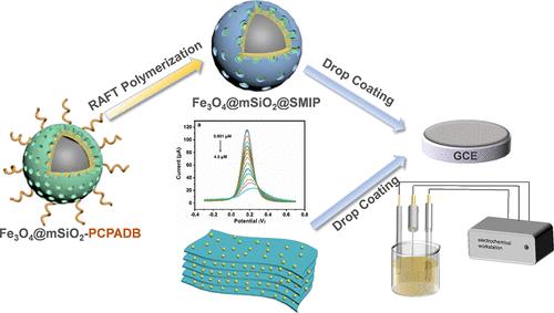 Molecularly Imprinted Electrochemical Sensor Based on Magnetic Mesoporous Nanocarriers for Sensitive Detection of Tetrabromobisphenol A