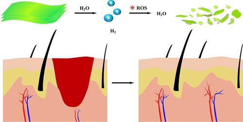 Accelerating Early-Stage Skin Wound Healing with Atomically Hydrogenated Silicene Nanosheets