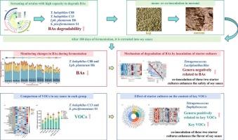 Improving soy sauce quality via co-fermentation with indigenous Tetragenococcus: Reducing biogenic amines and enhancing flavor