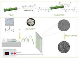 Enhancement of mechanical and thermal properties of PLA electrospun films based on PEG-grafted cellulose nanocrystals