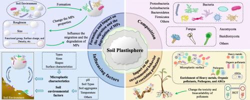 A new perspective on understanding soil microplastics: Composition, influencing factors of the soil plastisphere, and its impacts on the environmental behavior of co-existing contaminants
