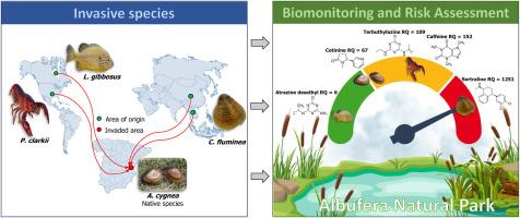 Occurrence, bioaccumulation, and ecological risk assessment of contaminants of emerging concern using native and invasive species as biomonitors