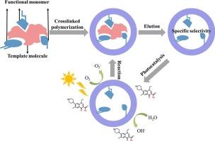 Synergistic effect of molecularly imprinting based adsorption and photocatalysis for significantly enhanced targeted removal of norfloxacin by N-TiO2