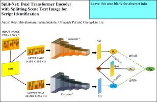 Split-net: Dual transformer encoder with splitting scene text image for script identification
