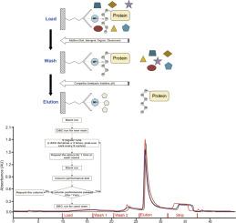 Optimization of immobilized metal affinity chromatography for a recombinant protein expressed in CHO cells