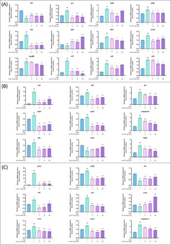 Peptide GTSFTTTAER From Rapana venosa Alleviates TNBS-Induced Inflammatory Bowel Disease in a Zebrafish Model via Multi-Pathway Regulation