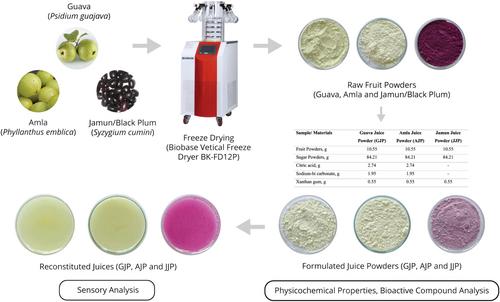 Freeze-Dried Instant Juice Powders From Guava, Amla, and Jamun: Evaluation of Physicochemical Properties, Bioactive Compounds, and Consumer Acceptance