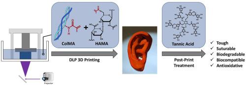 A collagen-based biomaterial ink for the digital light processing 3D printing of tough, dual-crosslinked hydrogels via post-print tannic acid treatment