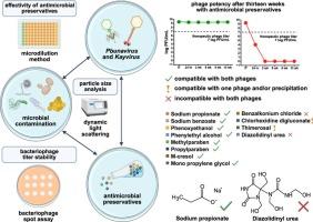 Compatibility of antimicrobial preservatives with therapeutic bacteriophages of the genera Pbunavirus and Kayvirus