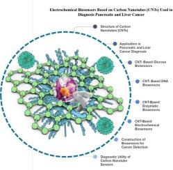 Electrochemical biosensors based on carbon nanotubes (CNTs) used to diagnosis pancreatic and liver cancer