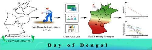 Geospatial analysis of soil salinity dynamics: Exploring topographic and vegetation influences in coastal Bangladesh