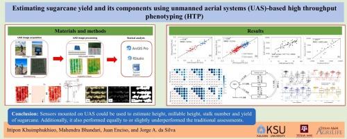 Estimating sugarcane yield and its components using unoccupied aerial systems (UAS)-based high throughput phenotyping (HTP)