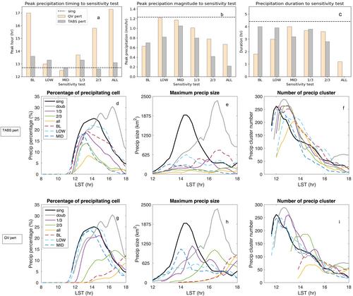 Factors Controlling Precipitation Onset and Maintenance: Inferences From Large Eddy Simulations of Two Afternoon Deep Convective Regimes Over Amazon