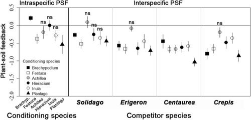 Plant–Soil Feedback Does Not Contribute to the Competitive Outcome Between Invasive and Resident Native Species in a Species-Rich Grassland