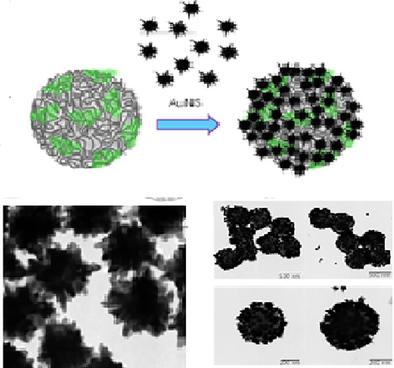Silica-Based Hybrid Nano Assemblies Prepared by the LbL Technique with Combined Functionalities for Photothermal and Photodynamic Therapies