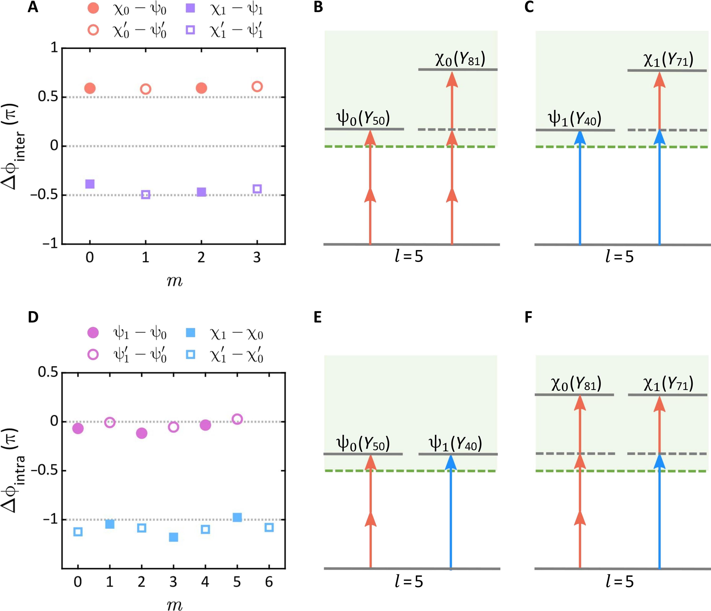 Resolving electron partial waves in multiphoton ionization of molecules