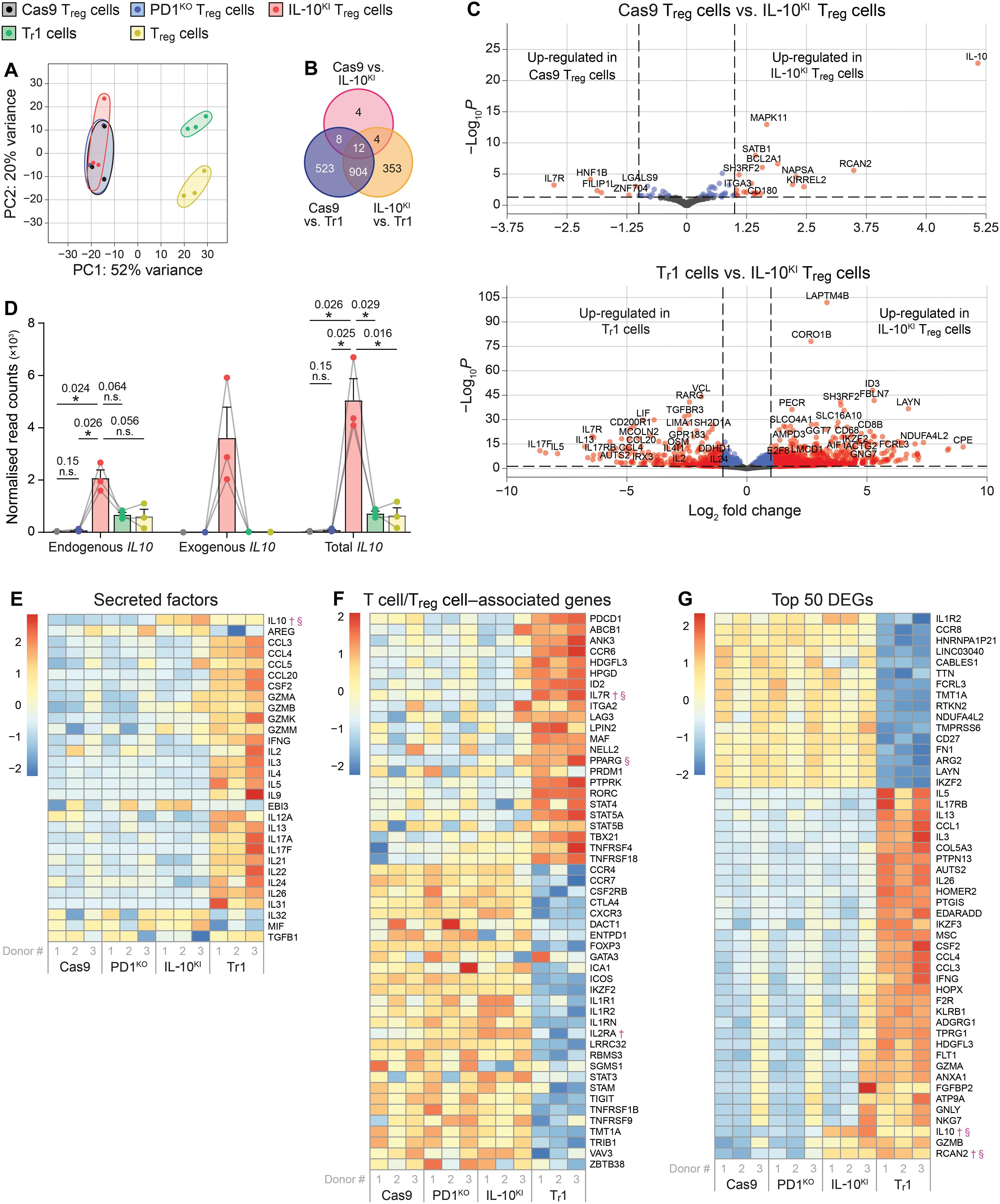 Armored human CAR Treg cells with PD1 promoter-driven IL-10 have enhanced suppressive function