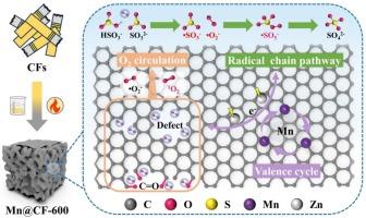 Insights into the enhanced calcium sulfite oxidation by air assisted with manganese/cigarette filter-based porous carbon catalysts: Valence cycle and radical/non-radical synergistic pathways
