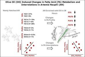Plant oils induce fatty acid plasticity in Artemia – A comparison among newly hatched, starved, and enriched nauplii